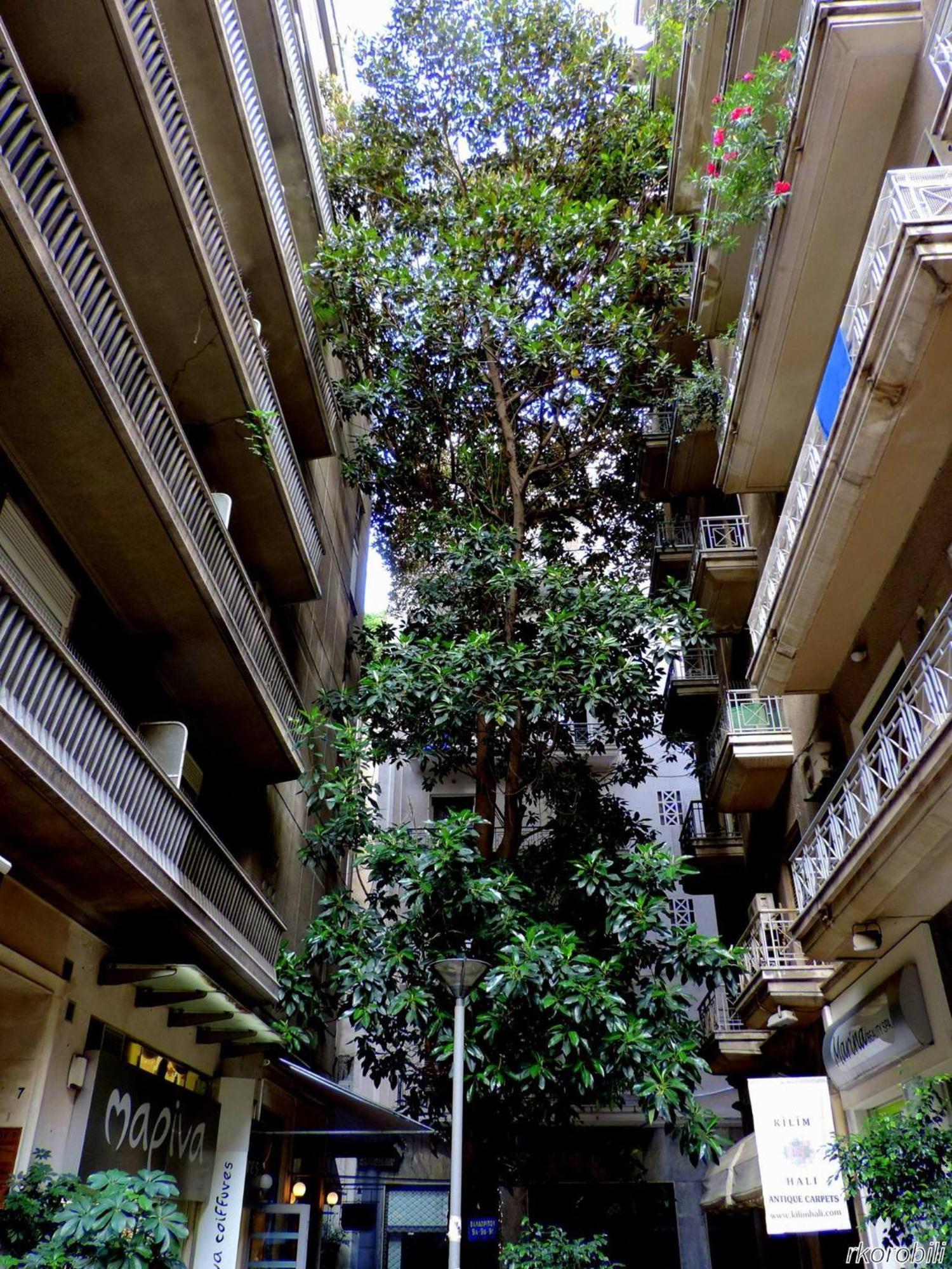 Stay At Premium Syntagma Location - Experience 1 Athens Exterior photo